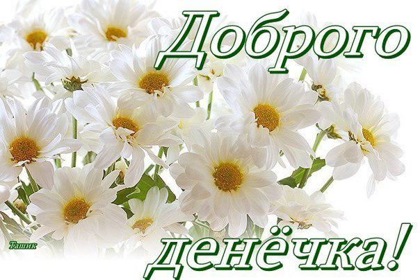 Доброе утро наташенька картинки красивые с именем