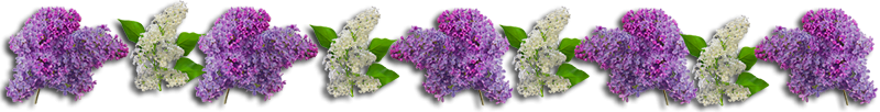 https://kak2z.ru/my_img/img/2016/06/02/d5476.png