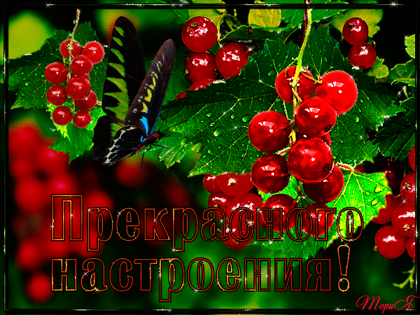 https://kak2z.ru/my_img/img/2016/06/12/582ef.gif