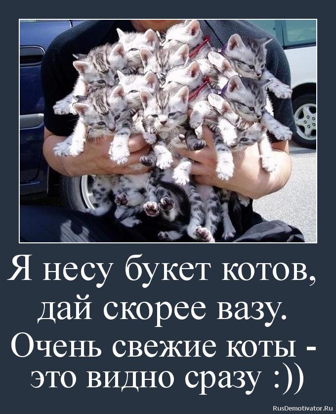 Давай я жду мем. Все давай скорей. Ура скоро домой. Букетик из котиков. Приезжай скорее я скучаю.