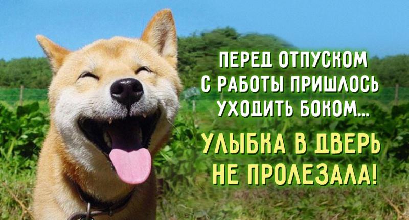 поздравляю с отпуском картинки онлайн