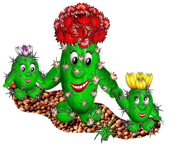 День кактусовода 23 апреля картинки