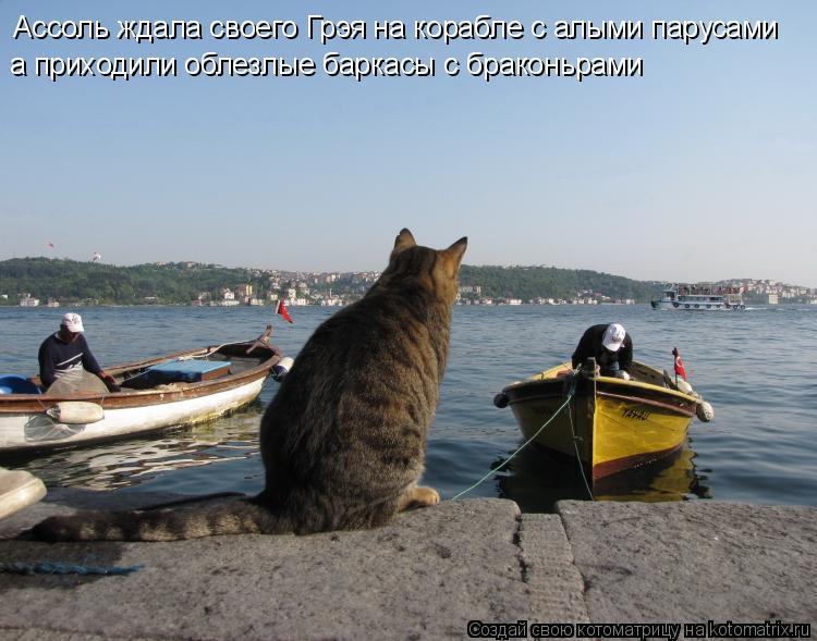 Смешные картинки про паруса