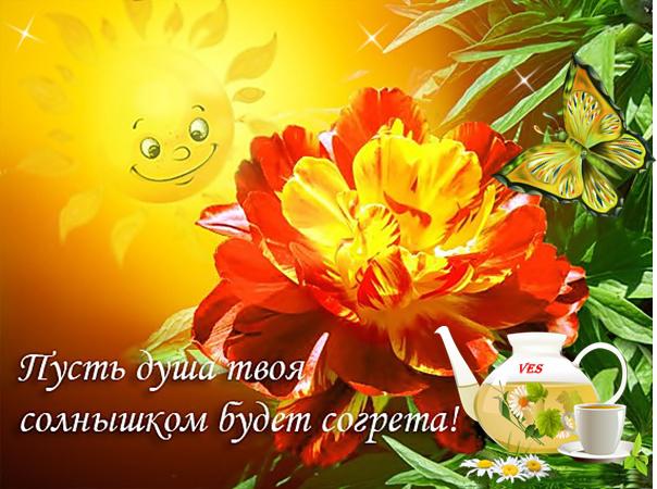 Дарю тебе солнышко открытки, зож смешные