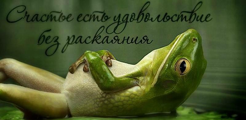 День Лягушки Открытки