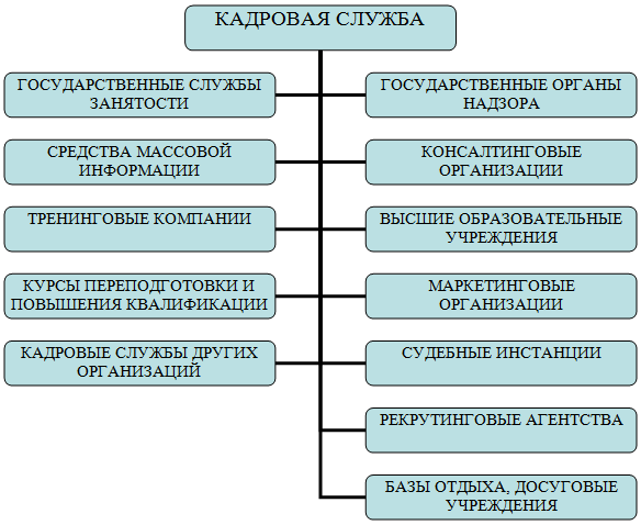 Порядок работы кадровой службы. Роли кадровой службы в организации. структура кадровой службы. функции кадровой службы. взаимодействие кадровой службы.