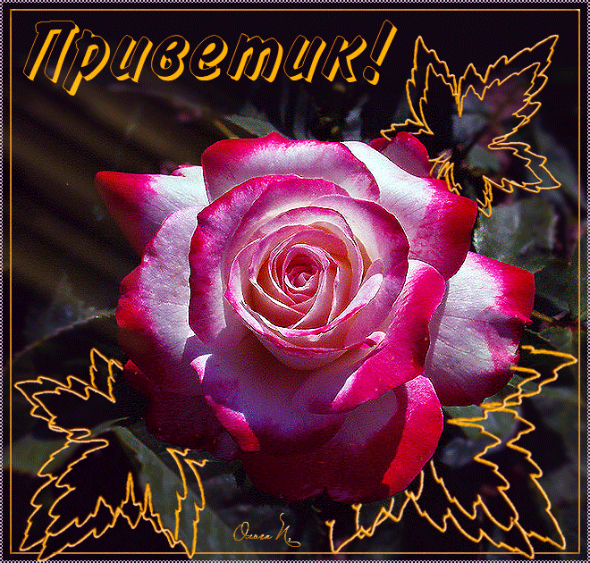 Нежный Приветик От Меня Картинки
