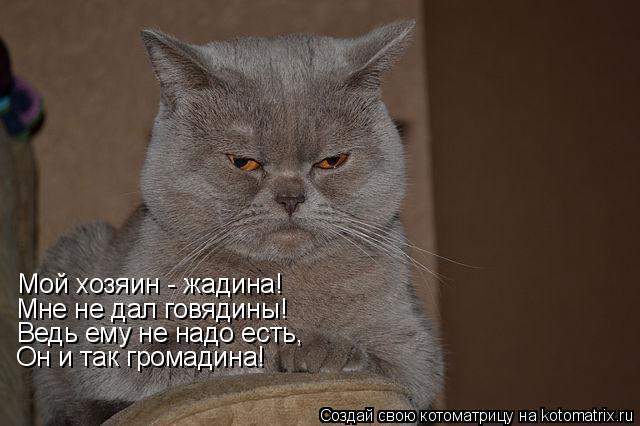 Я Жадина Картинки