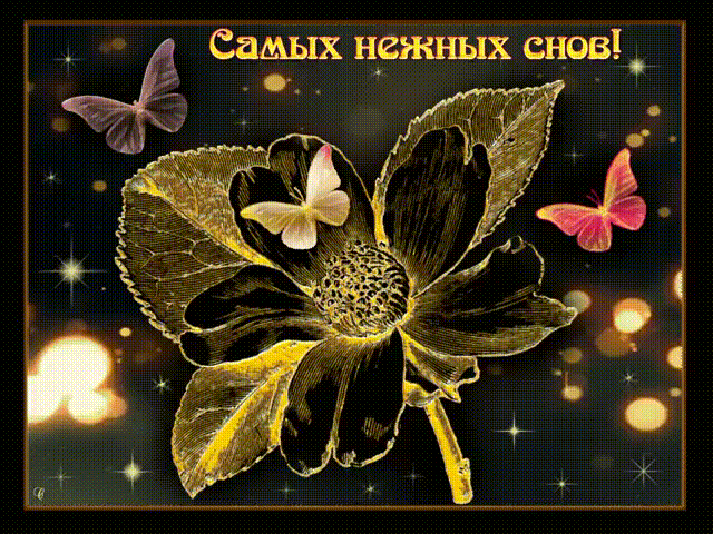https://kak2z.ru/my_img/img/2016/12/06/78936.gif
