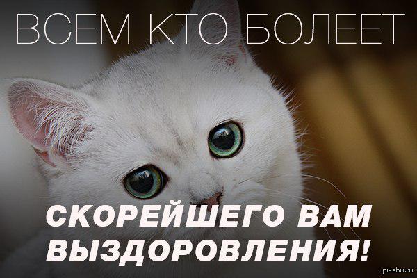 Открытки выздоравливайте начальнику