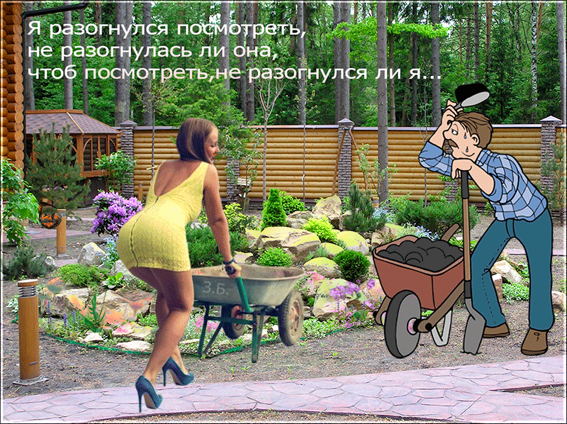 Всех, картинка отдых на даче прикольные