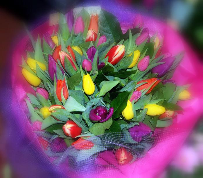 Сколько дарят цветов тюльпанов. Букет тюльпанов. Букет из разноцветных тюльпанов. Красивый яркий букет. Самый красивый букет тюльпанов.