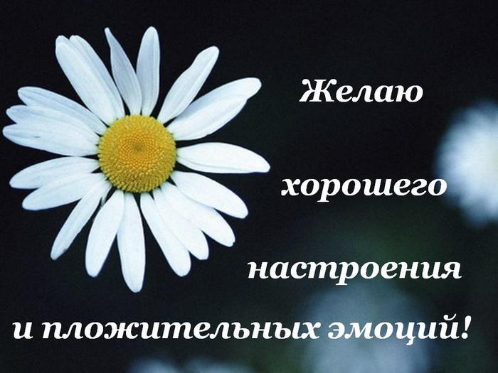 Еврейскую, картинки спасибо хорошего дня и отличного настроения