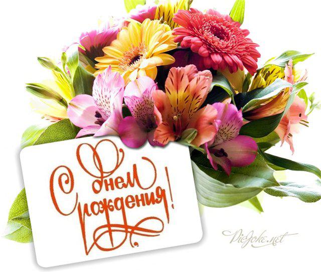 София с днем рождения картинки красивые