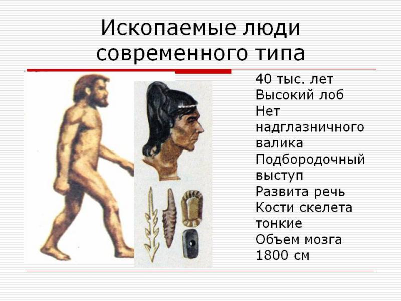 Предком современного человека является. Человек современного типа. Ископаемые люди современного типа. Ископаемые предки человека. Древнейшие древние и ископаемые люди современного типа.