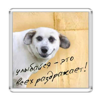 Улыбайся это всех раздражает. Улыбайтесь чаще это всех раздражает. Улыбайтесь это всех раздражает цитата. Улыбайтесь это выгодно реклама. Улыбайся даже если.