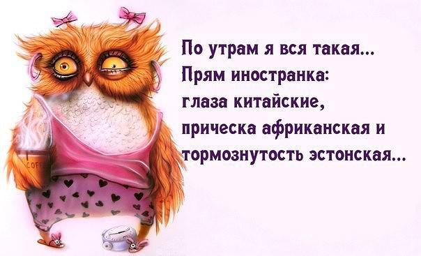 https://kak2z.ru/my_img/img/2017/07/17/7284f.jpg