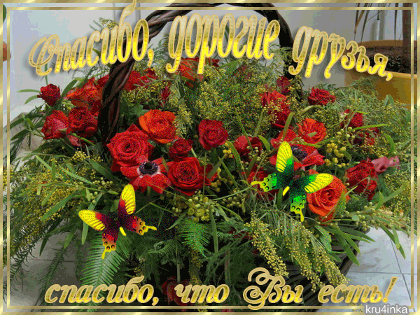 Спасибо за поздравления друзья