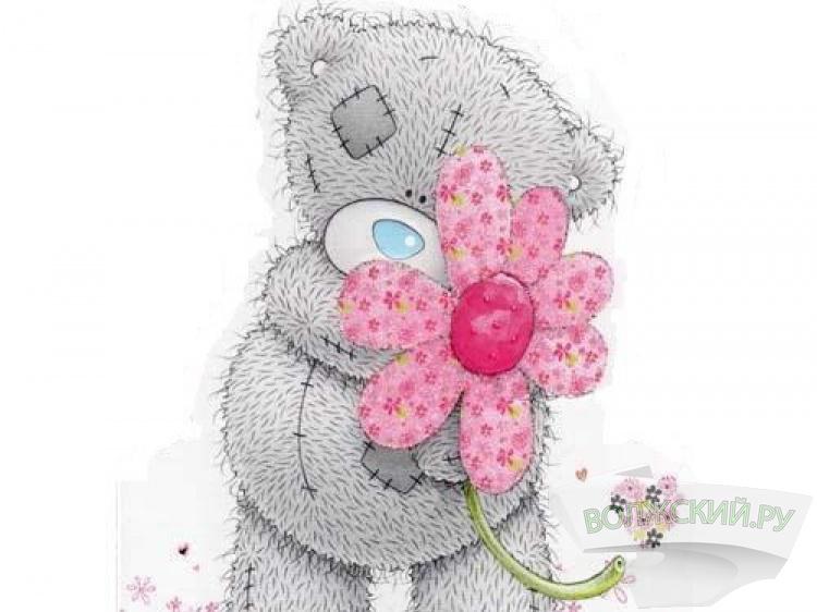 Тедди девочка. Медвежонок Тедди с цветами. Мишка Тедди с цветком. Открытки с мишками. Мишка Тедди девочка.