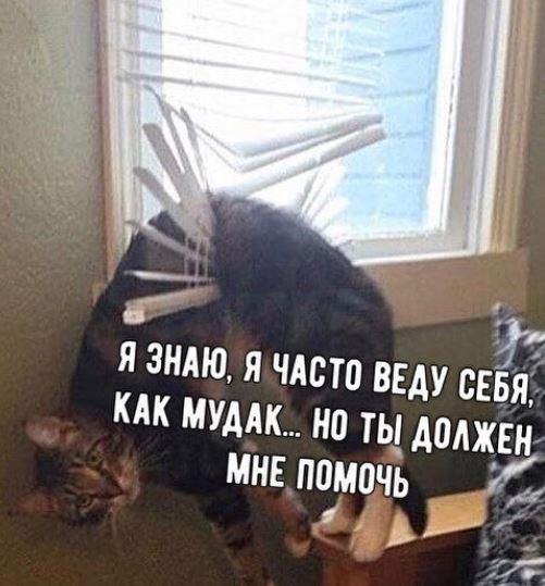 https://kak2z.ru/my_img/img/2018/01/17/537d0.jpg