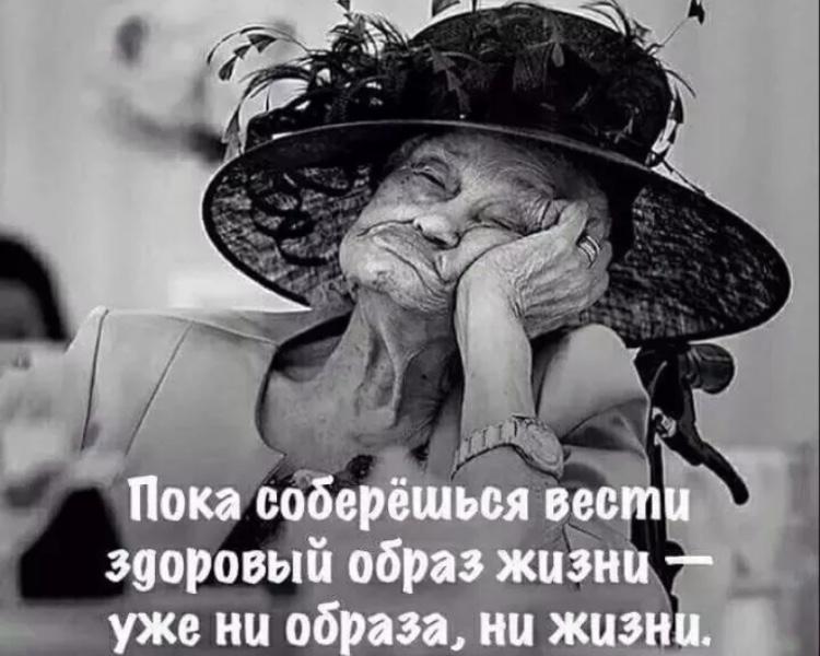 Веселые цитаты в картинках