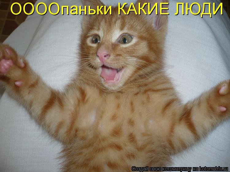 Ничего себе картинки прикольные с надписями