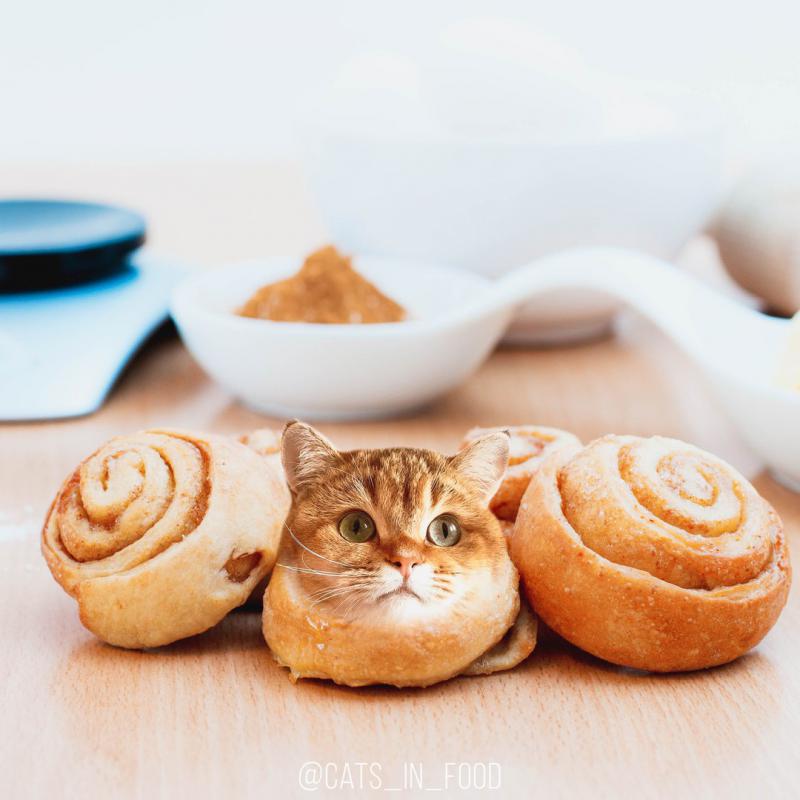 Булочка в виде котика