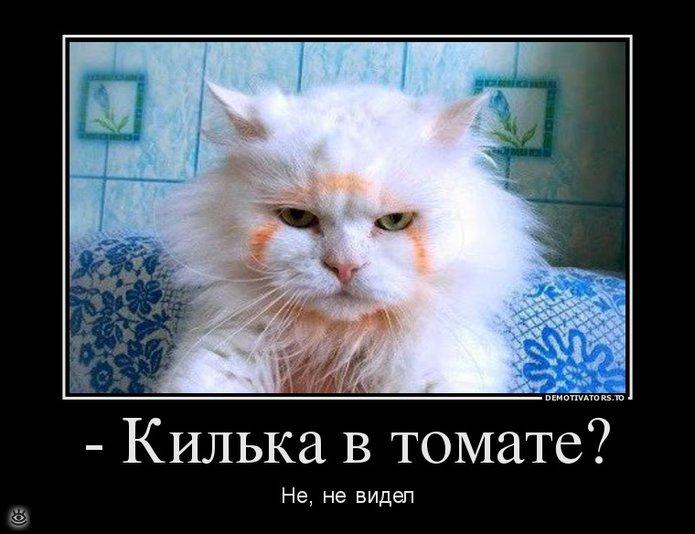 Фары на улыбку