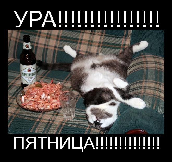 Пятница самые смешные картинки до слез