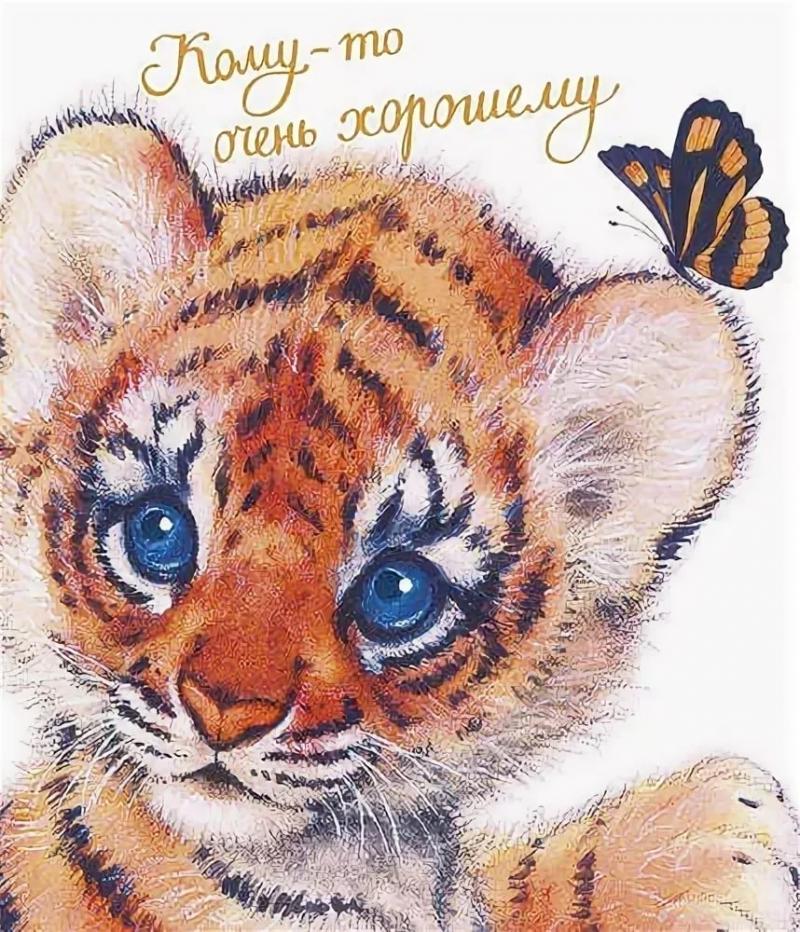 Открытка моему любимому тигру
