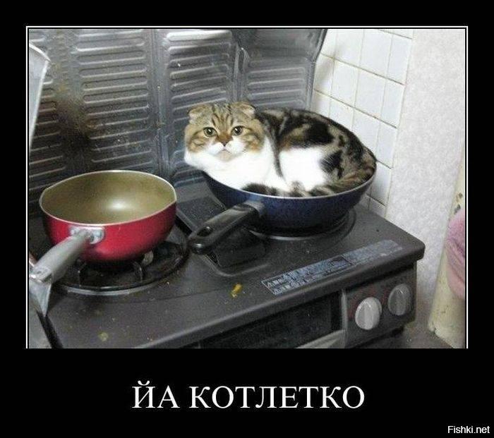 Смешные сковородки