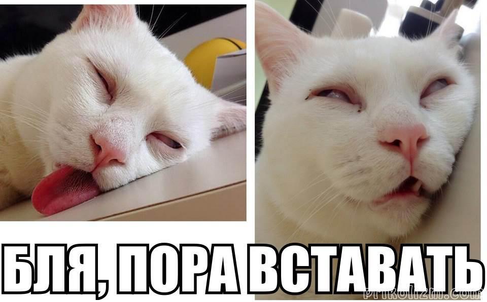 Фото с надписью вставай