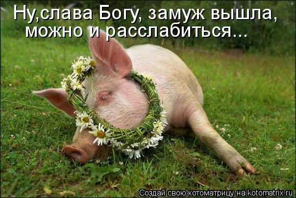 Прикольный поросенок картинка с надписью
