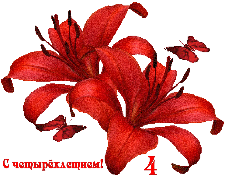 Цветы Прозрачный Фон Анимация