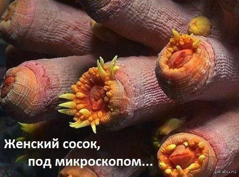 спасибо что фото минета со спящей девушкой прощения, что Вас прерываю