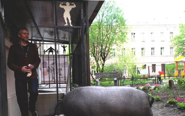 Минипиг на трюфели. Свинья на васильевском острове. Свинья варя на васильевском острове. Поросенок на васильевском острове. Свинья варя на васильевском острове.