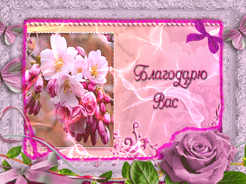 Погода, за приглашение гифы