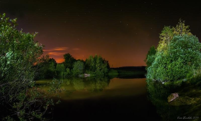 Природа летней ночью