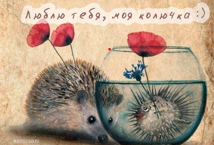 Дню снятия, забавные открытки любимому