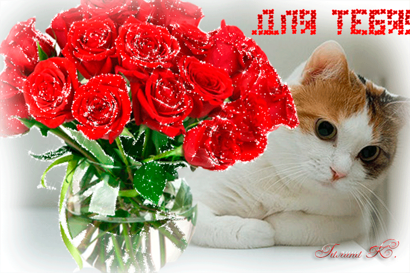 Цветы любимому котенку. Цветы для самой прекрасной. Цветочки для красавицы. Для тебя цветы милая. Розы для тебя.