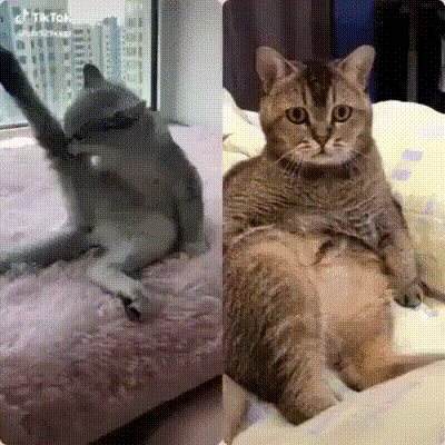 https://kak2z.ru/my_img/img/2019/09/08/b6657.gif