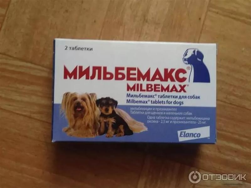 Прививка собакам после глистогонного. Глистогонное для собак Мильбемакс. Глистогонка для собак Мильбемакс. Глистогонные препараты для собак Мильбемакс. Таблетки глистогонные для собак Бихелдон.