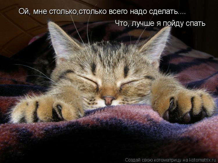 Выспитесь как пишется правильно. Сонный котик. Спокойной ночи котики. Спящие коты с надписями. Пора спать котик.