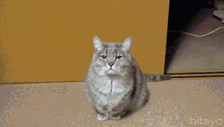 https://kak2z.ru/my_img/img/2019/12/09/6f7f8.gif