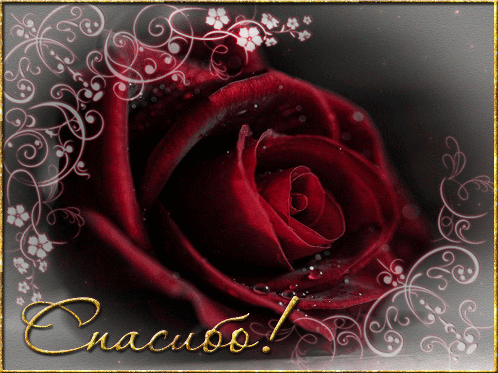 Открытка гиф спасибо. Мерцающие открытки с благодарностью. Красные розы открытка. Спасибо анимация. Спасибо розы.