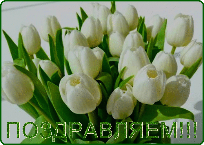 Когда вышла песня тюльпан. Белые тюльпаны sevenrose. Тюльпаны белая Королева. Sevenrose белые тюльпаны (версия 2023).