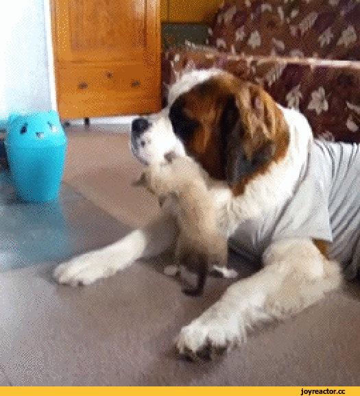 https://kak2z.ru/my_img/img/2020/02/26/20d2a.gif