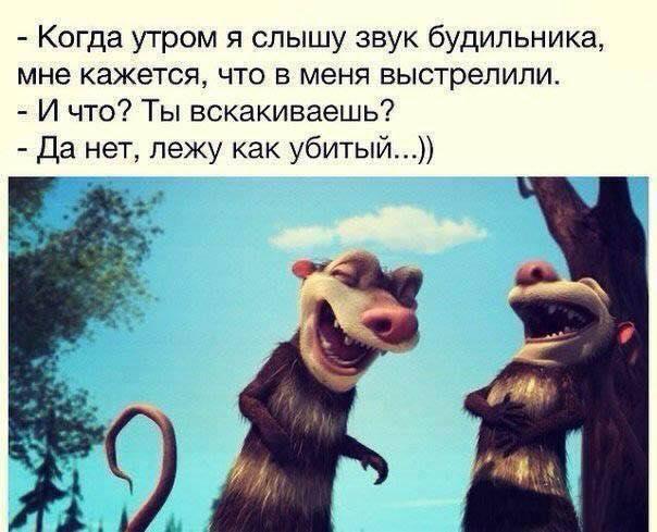 Бугатти морген текст
