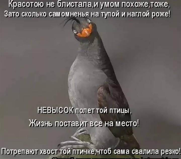 Ты Блещешь Красотой