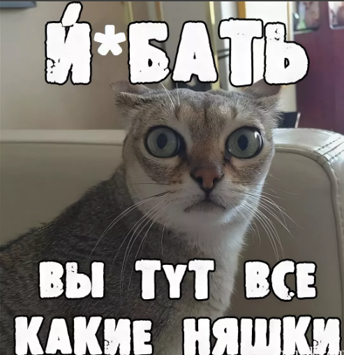 Ты няшка картинки